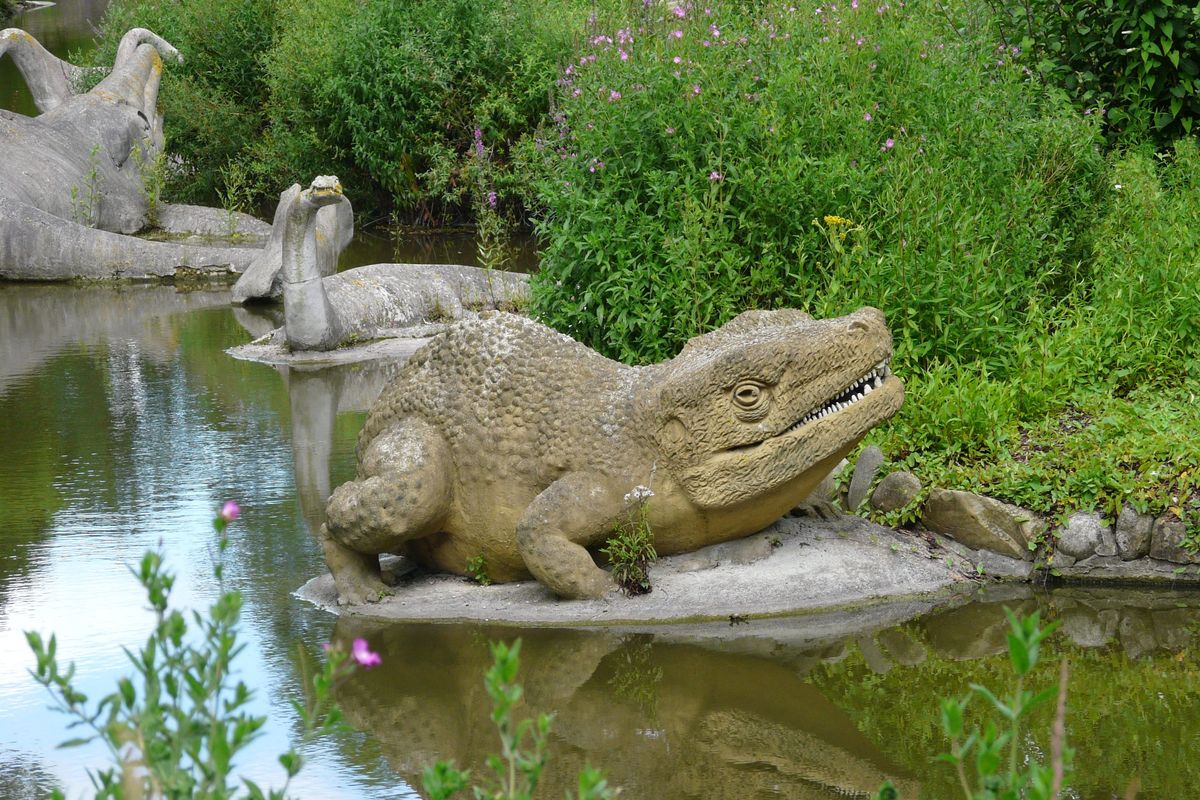 Crystal Palace pour les enfants.