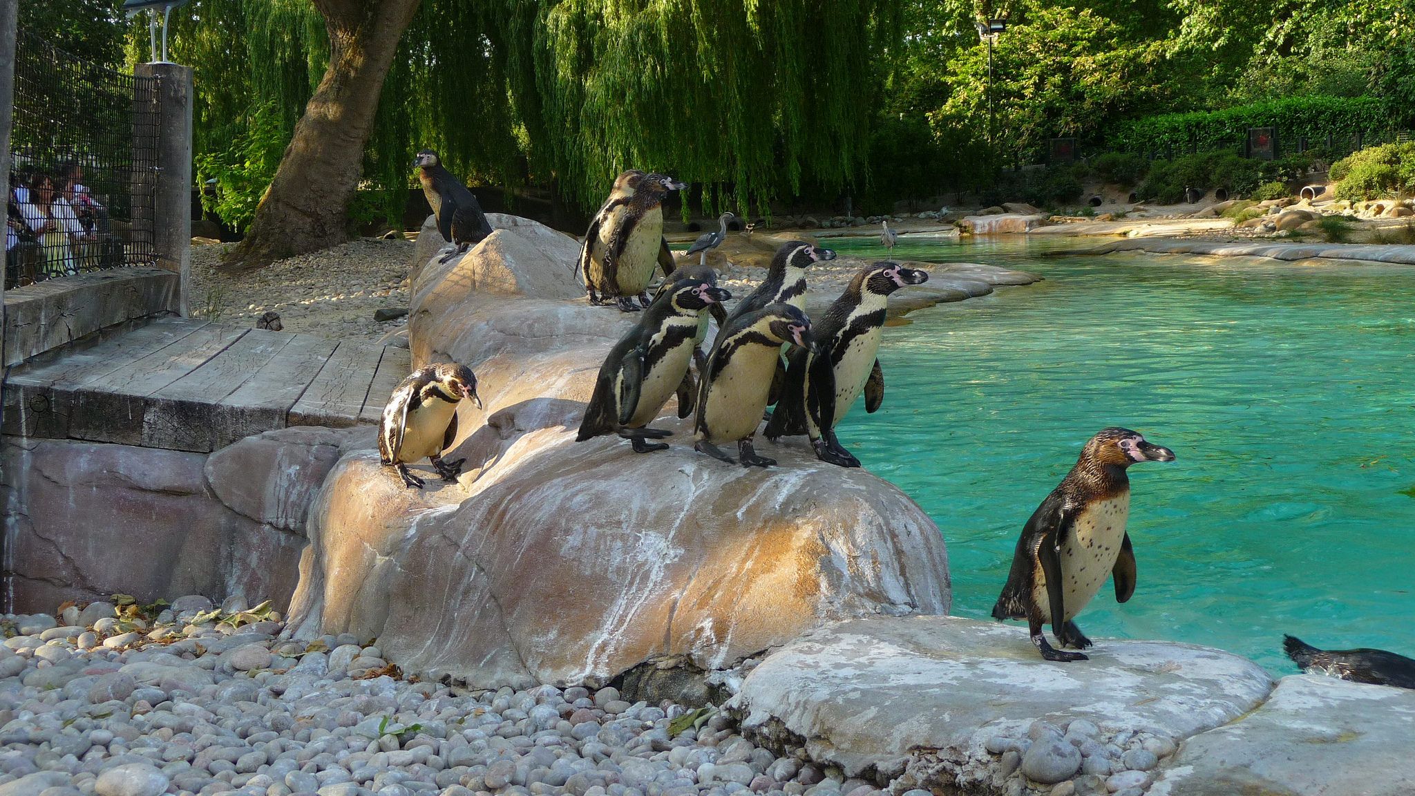 Billets d’entrée pour le Zoo de Londres