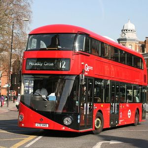 Les bus