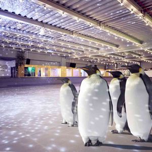 Patinez en compagnie de pingouins à Londres !