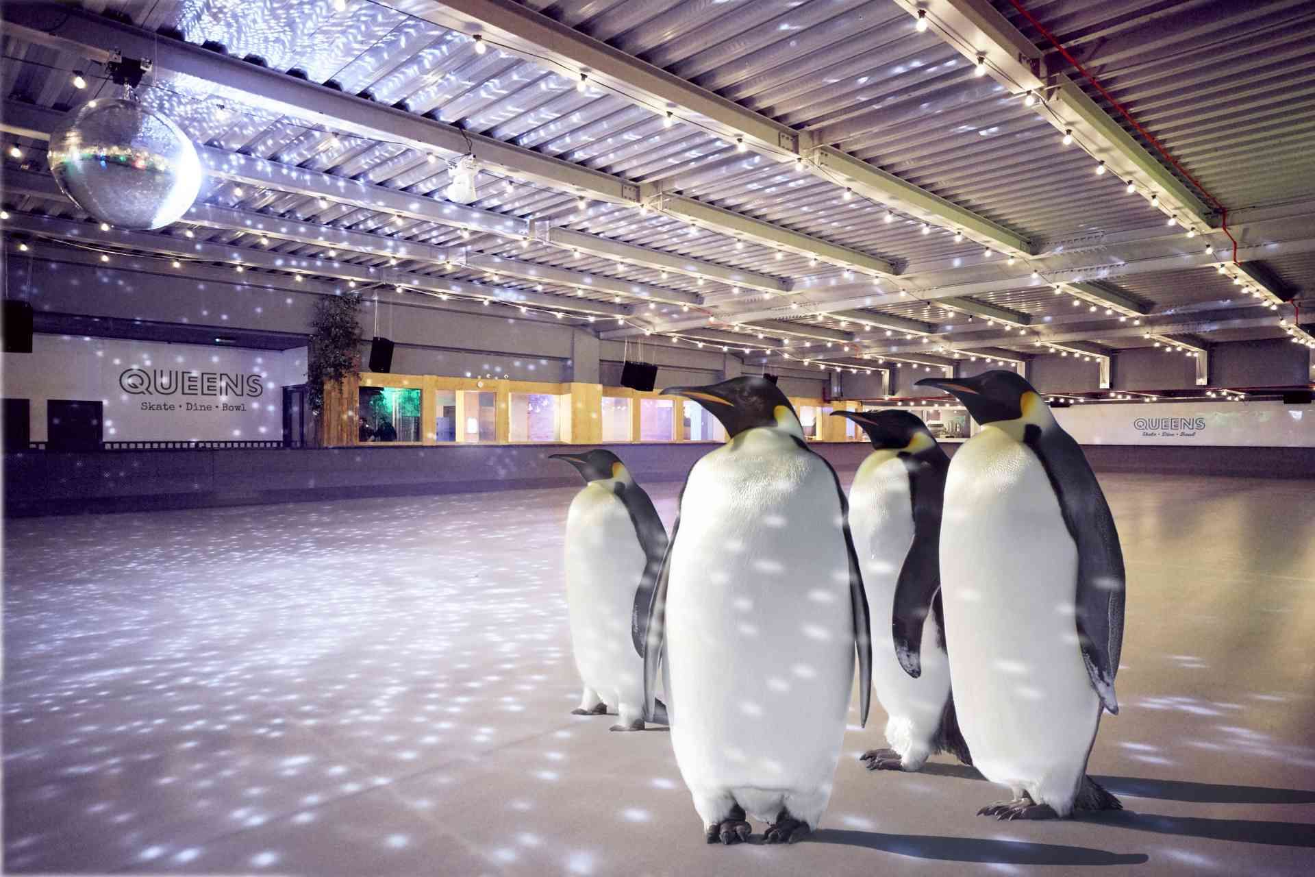 Patinez en compagnie de pingouins à Londres !