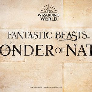 Harry Potter au cœur d’une exposition originale à Londres